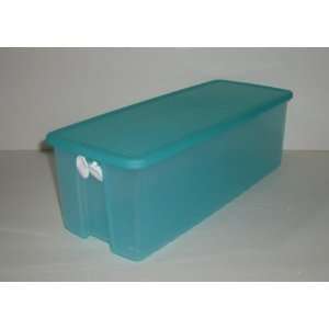   Storage, 19 3/4 cup capacity (aqua container & seal) 