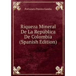 Riqueza Mineral De La RepÃºblica De Colombia (Spanish Edition 