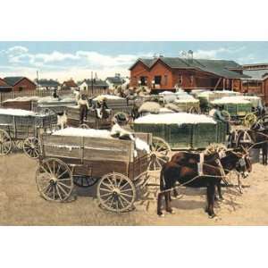 Cotton Wagons 18X27 Giclee Paper