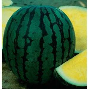   Watermelon Sunshine (Citrullus lanatus var. lanatus) 10 Seeds per