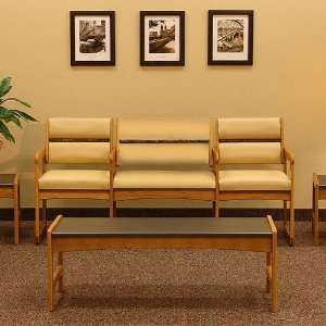  Wooden Mallet DWBA1.3 SLED BASE BARIATRIC COUCH WITH ARMS 